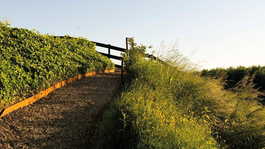 Kiesweg