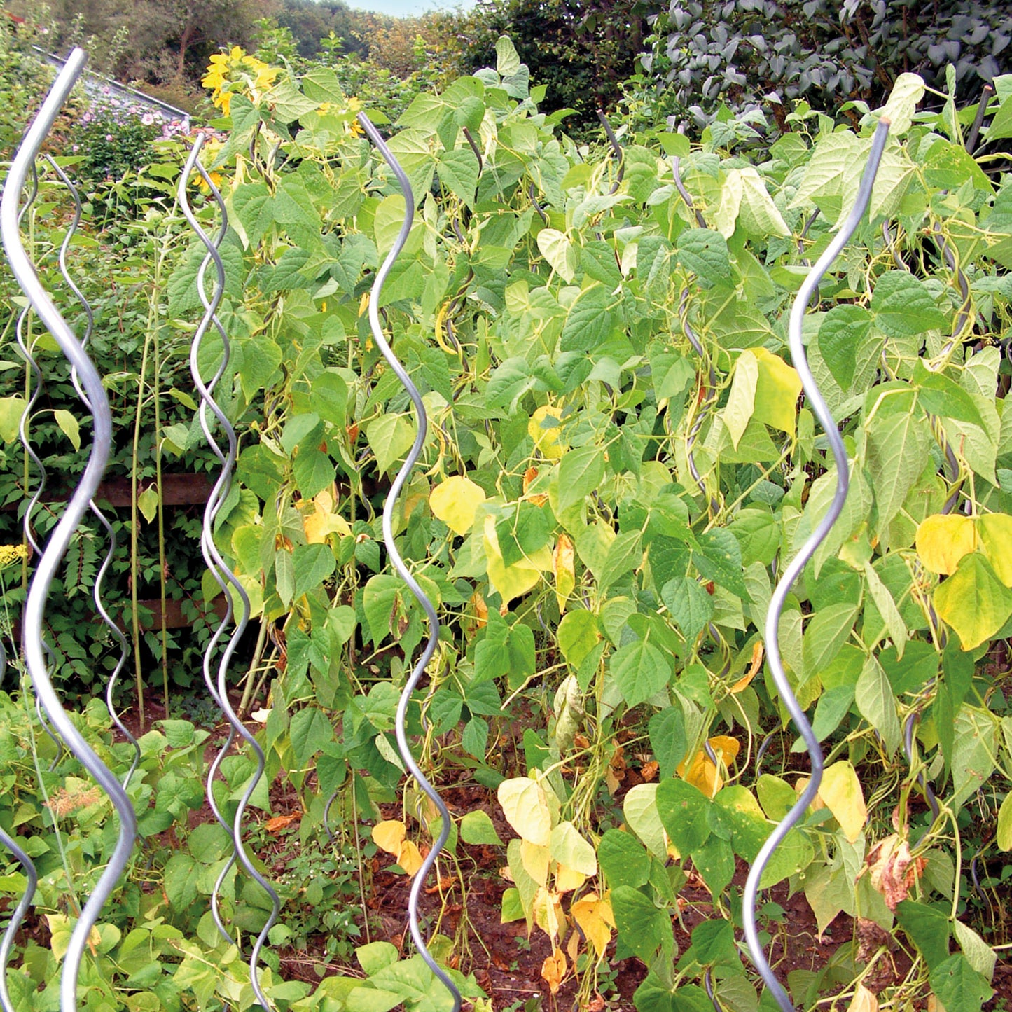 bellissa Aluspirale Tomatenspiralstab 150 cm Ø 12mm