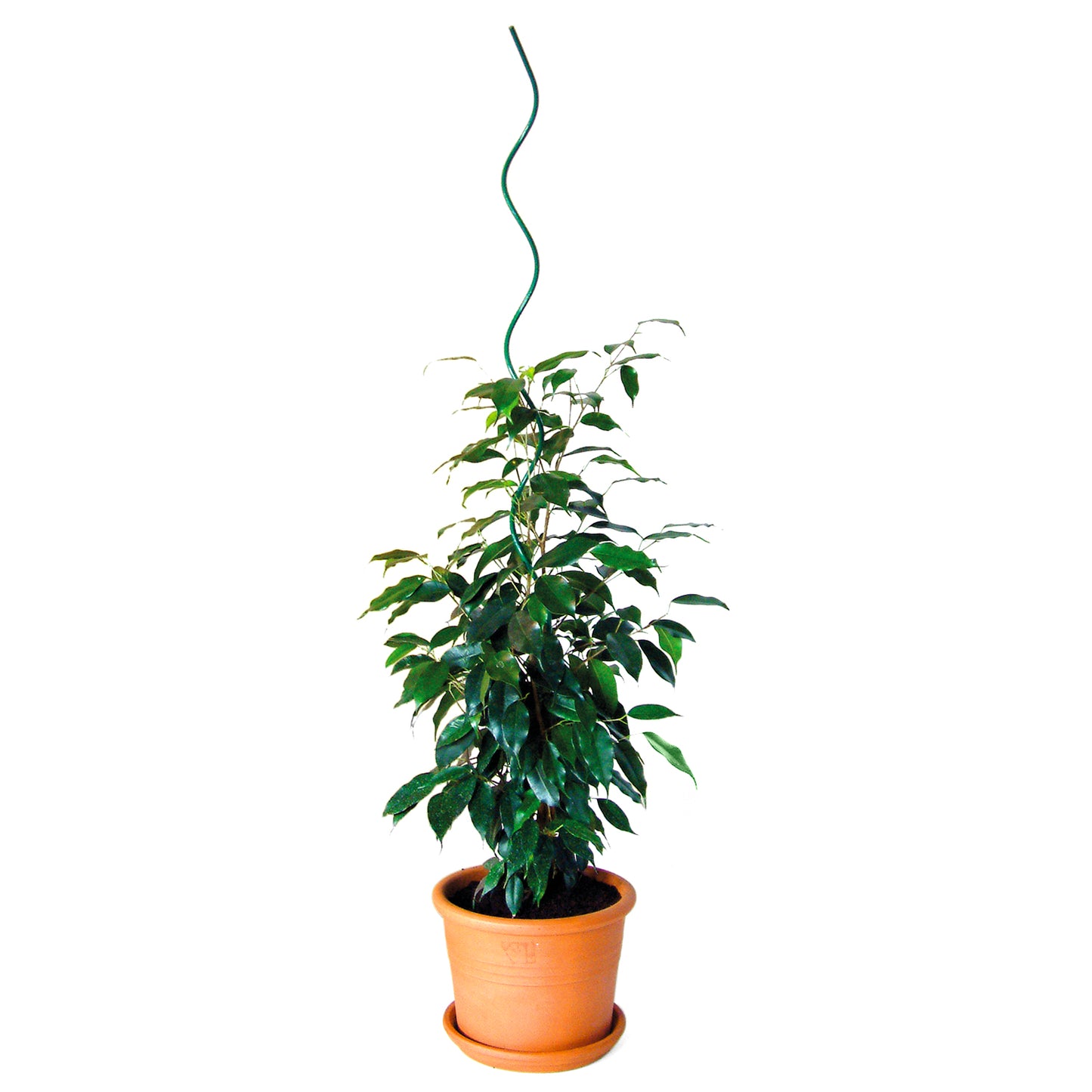 bellissa Pflanzspirale 75 cm Ø 5 mm grün - ID: 67832698241398