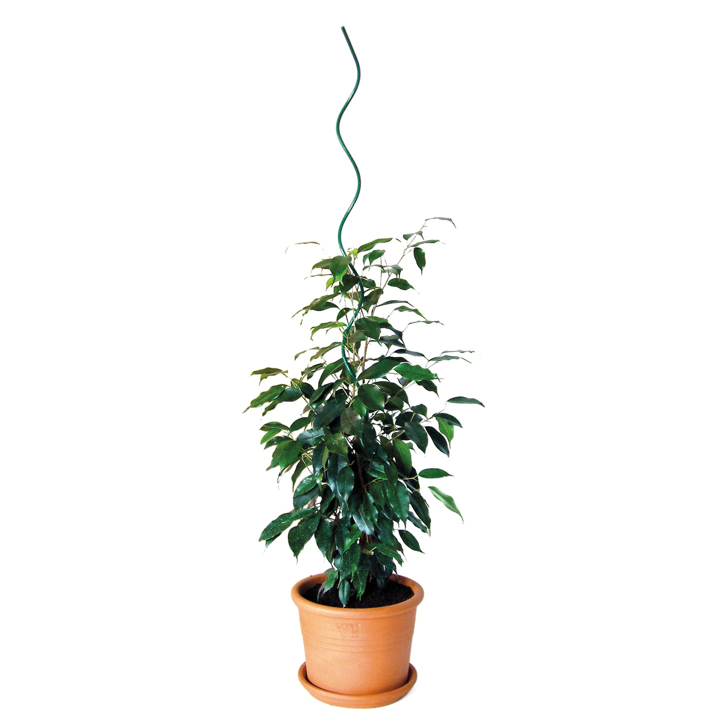 bellissa Pflanzenspirale 110 cm Ø 5 mm grün