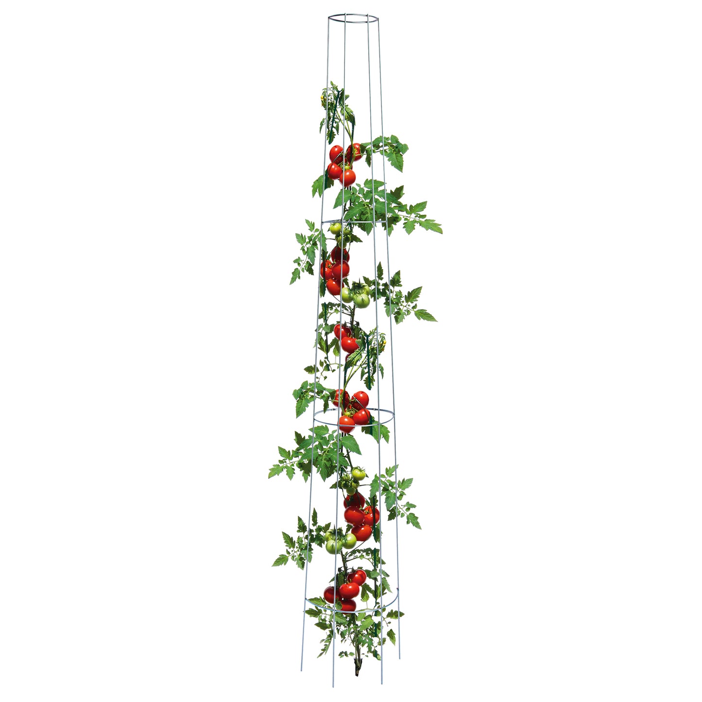 bellissa Tomaten-Ranksäule rund 175 cm