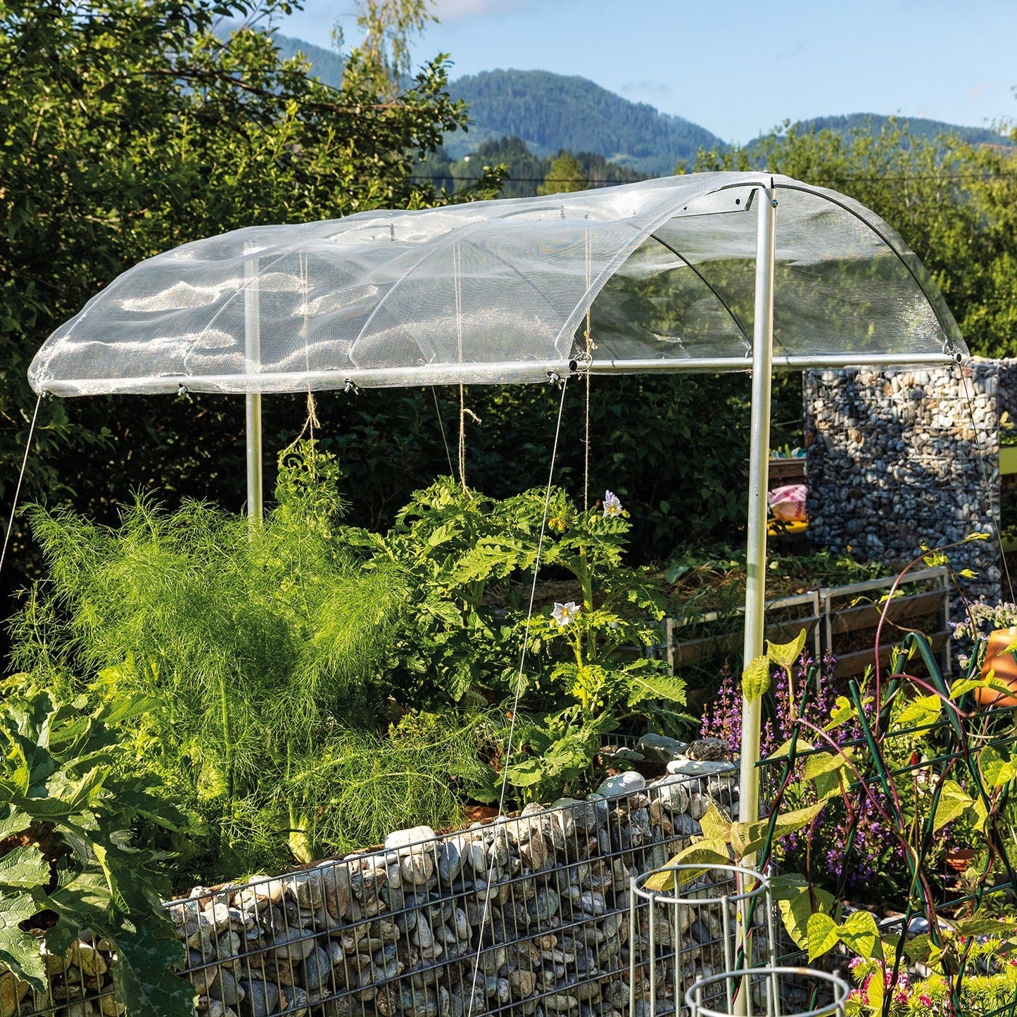 bellissa Tomatendach; L 150 x B 120 x H 125-185 cm, Alu Gewebe + Rohre - ID: 71064786829686