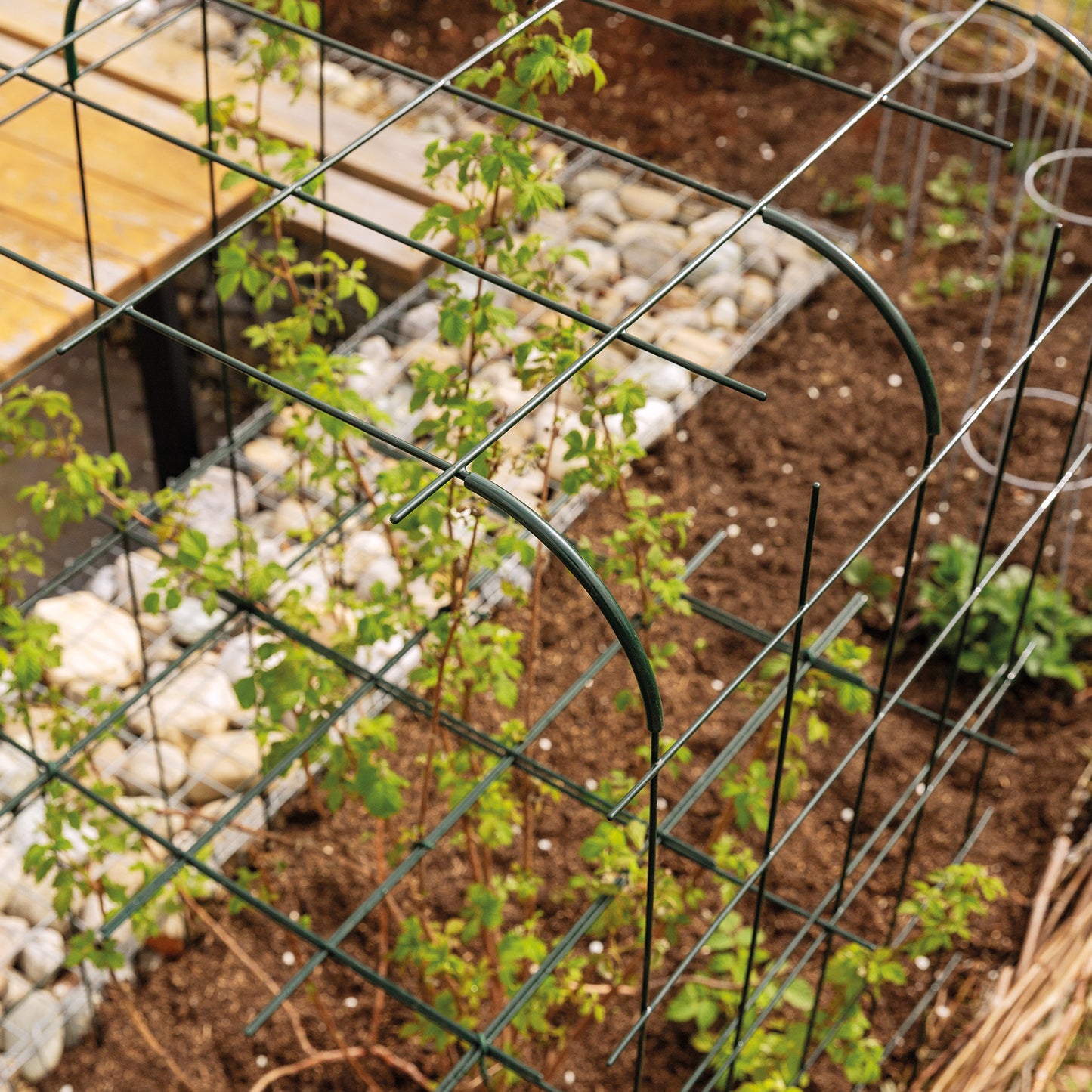 bellissa Rankhilfe Andybell M Set: 3x Rankgitter Andybell M & 6 Rankgitter Verbinder Andybell 90°; L 70 x B 73 x H 70 cm, Pulver besch. grün, 4 mm