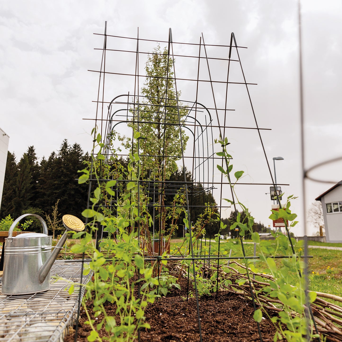 bellissa Rankgitter Verbinder Andybell 45° (6er Set); L 11 x B 1 x H 11 cm, Pulver besch., 1.5 mm verz.