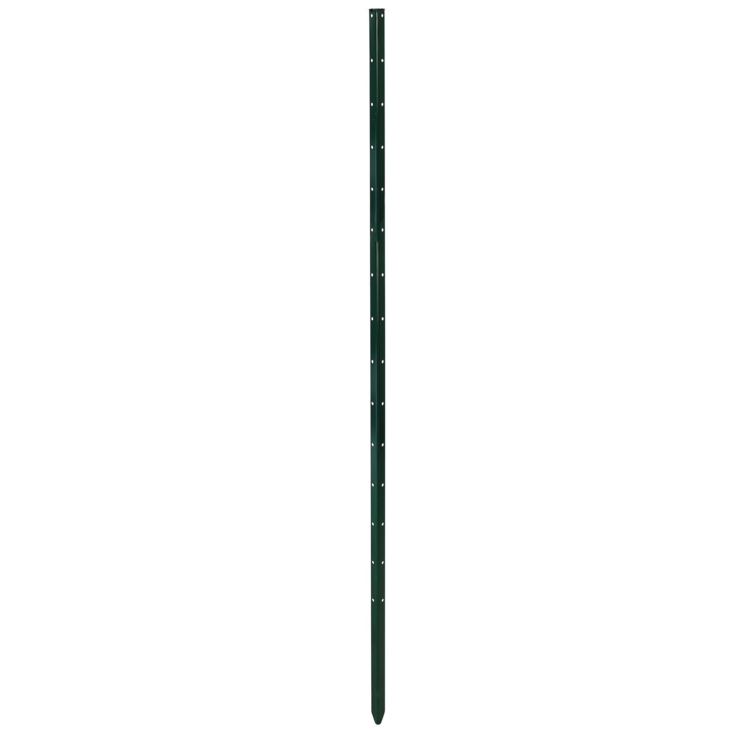bellissa Pflanzstab Timo 150 G – Rasenkante 24