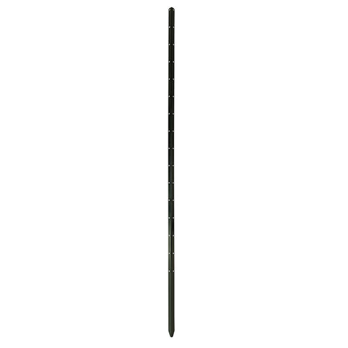 bellissa Pflanzstab Timo 180 G; L 3 x B 3 x H 180 cm, Pulver besch., 1.5 mm verz.