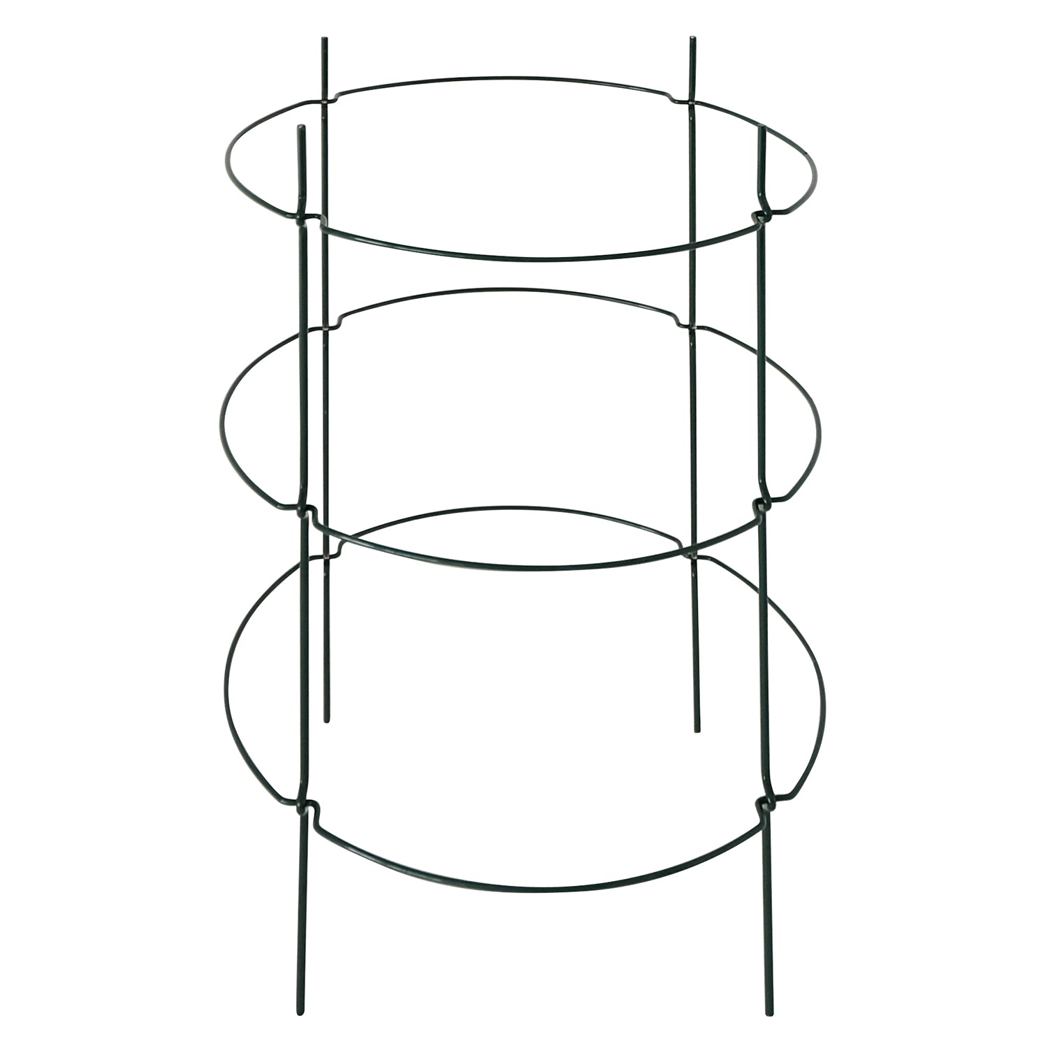 bellissa Pflanzstab Timo 100 G – Rasenkante 24