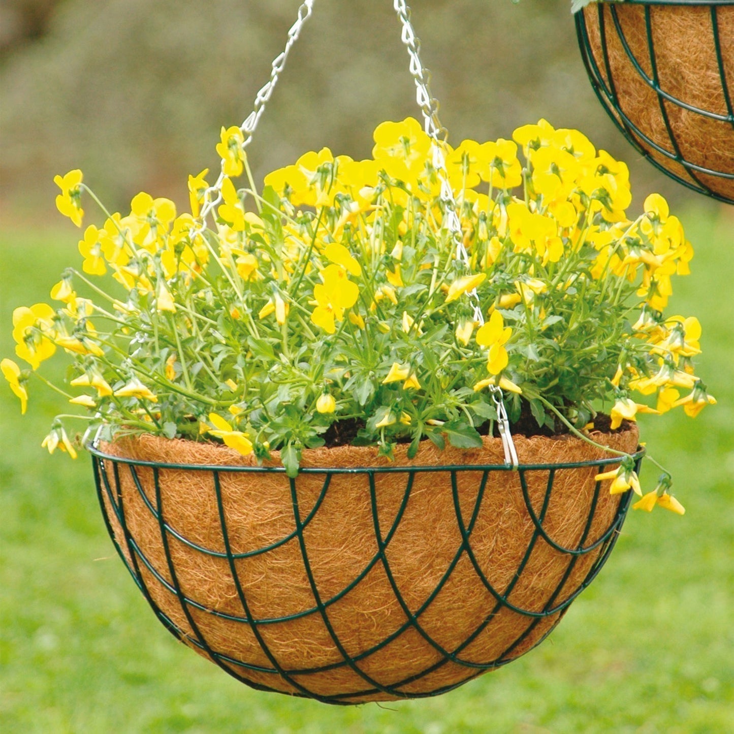bellissa Kokoseinsatz für Hanging Basket Ø35cm - ID: 70409021194614