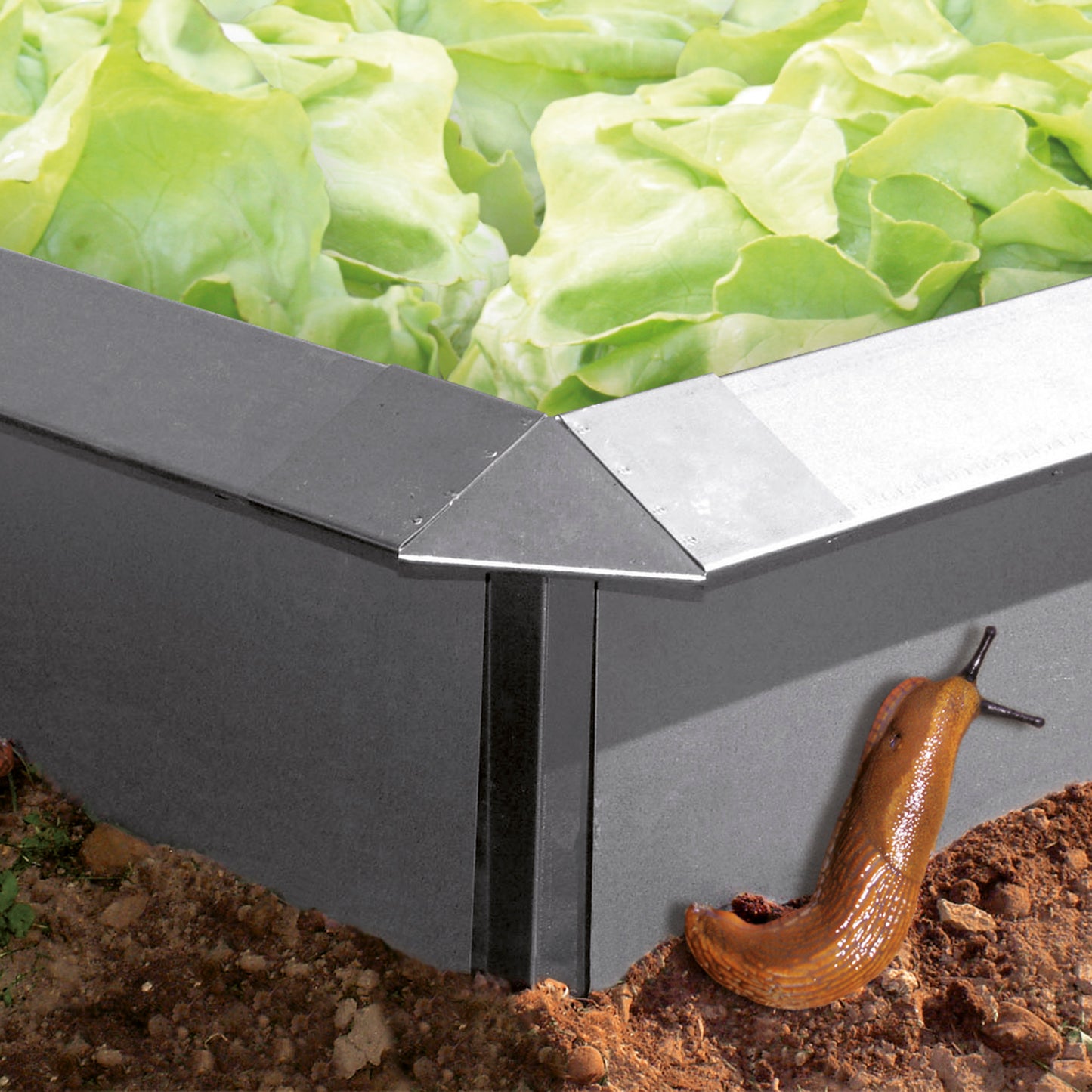 bellissa Schneckenblech Eckteil 7x7x20 cm verzinkt