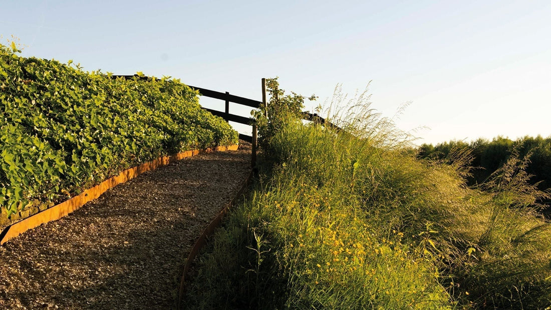 Kiesweg