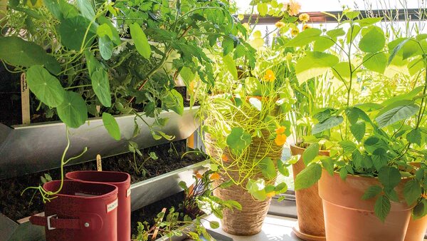 Balkongarten: Tipps und Ideen für jede Balkongröße