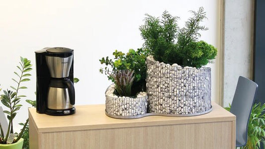 Kräuterspirale klein