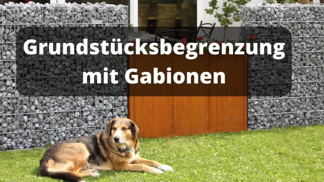 Grundstücksbegrenzung Gabionen - Rasenkante 24