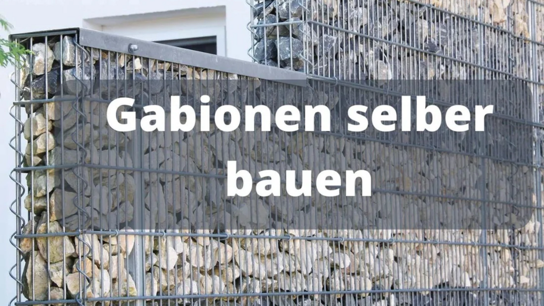 Gabionen selber bauen - Rasenkante 24