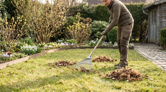 Person recht im Frühjahr Rasen im Garten