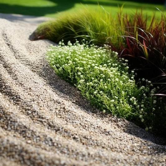Rasen sanden – der Geheimtipp für gesunde und langlebige Grünflächen - Rasenkante 24