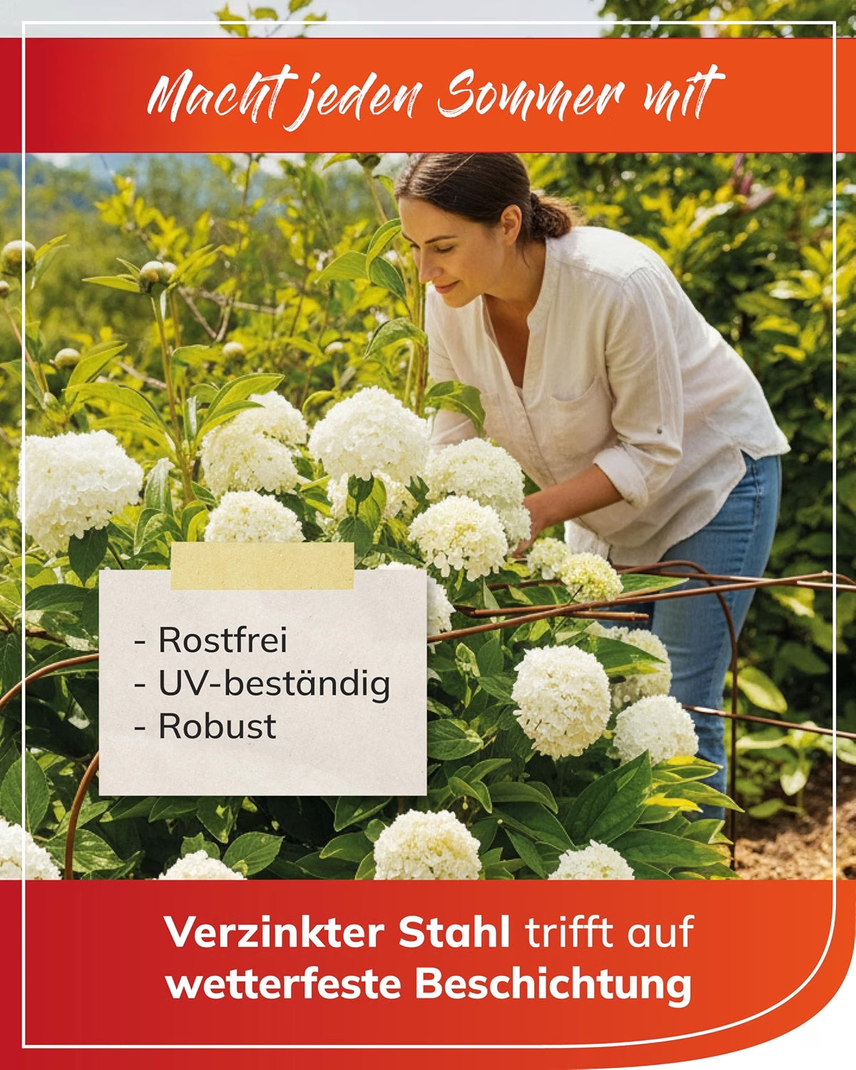 bellissa Annabelle Hortensienstütze - 65 cm x 57 cm x 60 cm - ID: 71374610334070