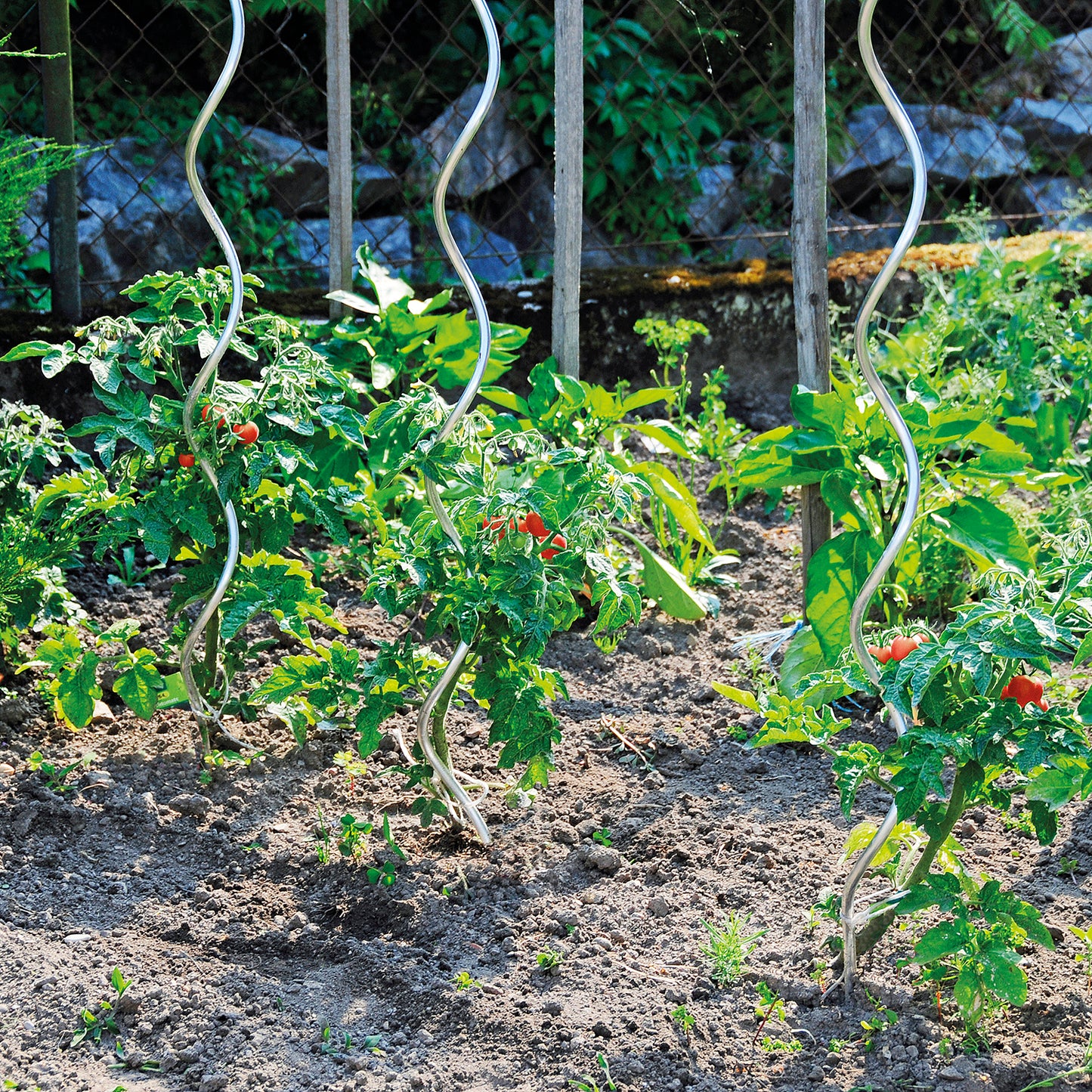 bellissa Tomatenspirale 180 cm Ø 6mm verzinkt