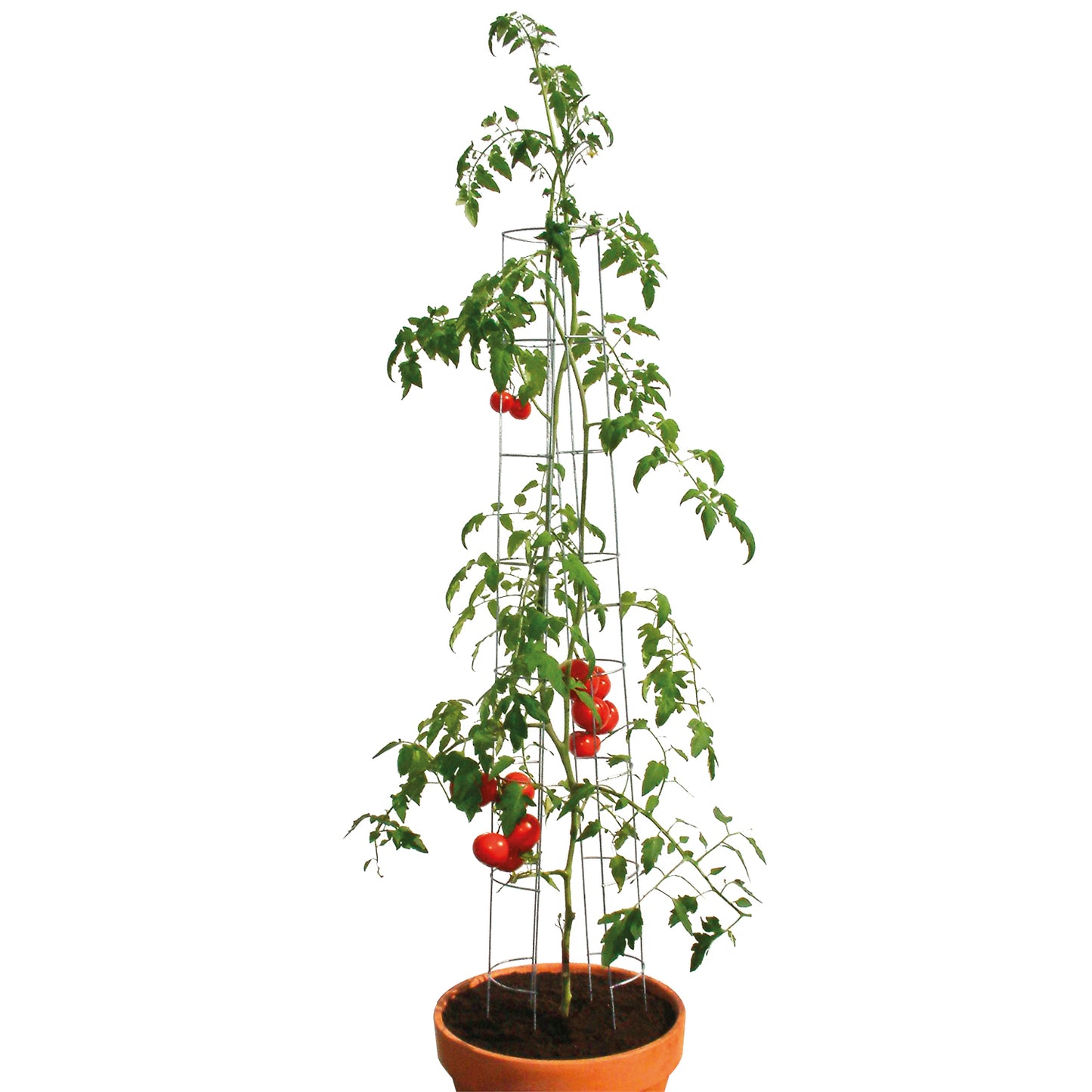 bellissa Tomatenturm 180 cm