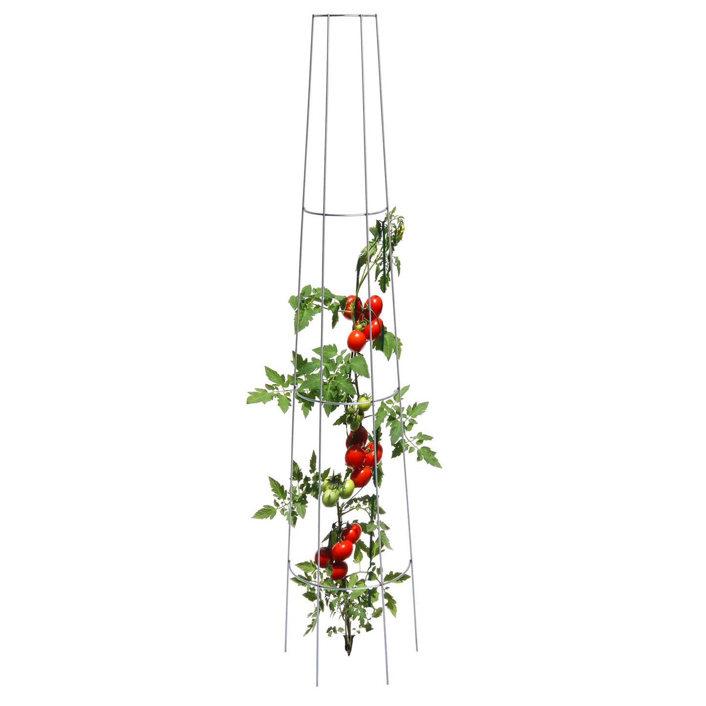 bellissa Tomaten-Ranksäule rund 135cm einzeln