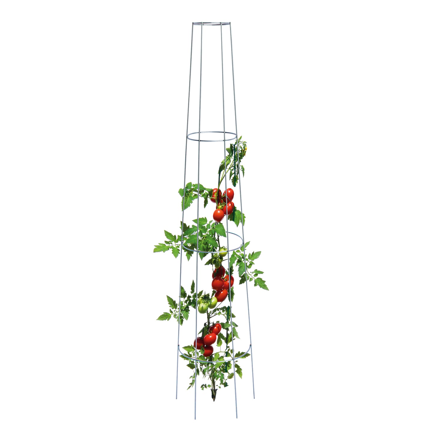 bellissa Tomaten-Ranksäule rund 135cm einzeln