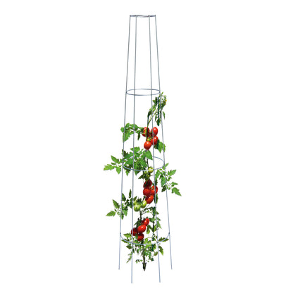 bellissa Tomaten-Ranksäule rund 135cm einzeln