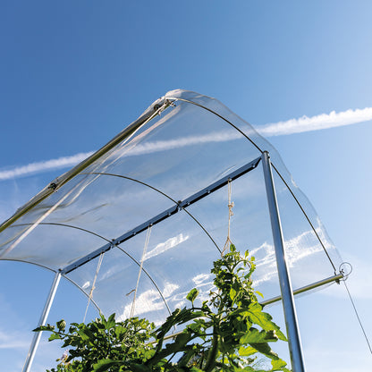 bellissa Tomatendach; L 150 x B 120 x H 125-185 cm, Alu Gewebe + Rohre