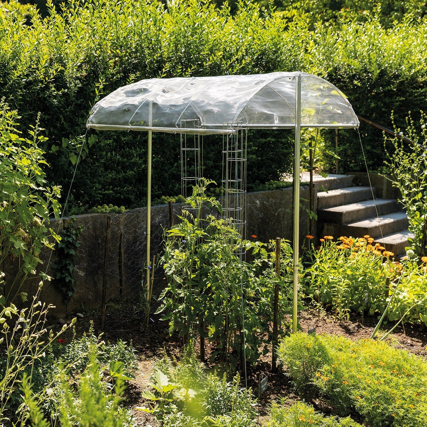 bellissa Tomatendach; L 150 x B 120 x H 125-185 cm, Alu Gewebe + Rohre - ID: 71064692556150