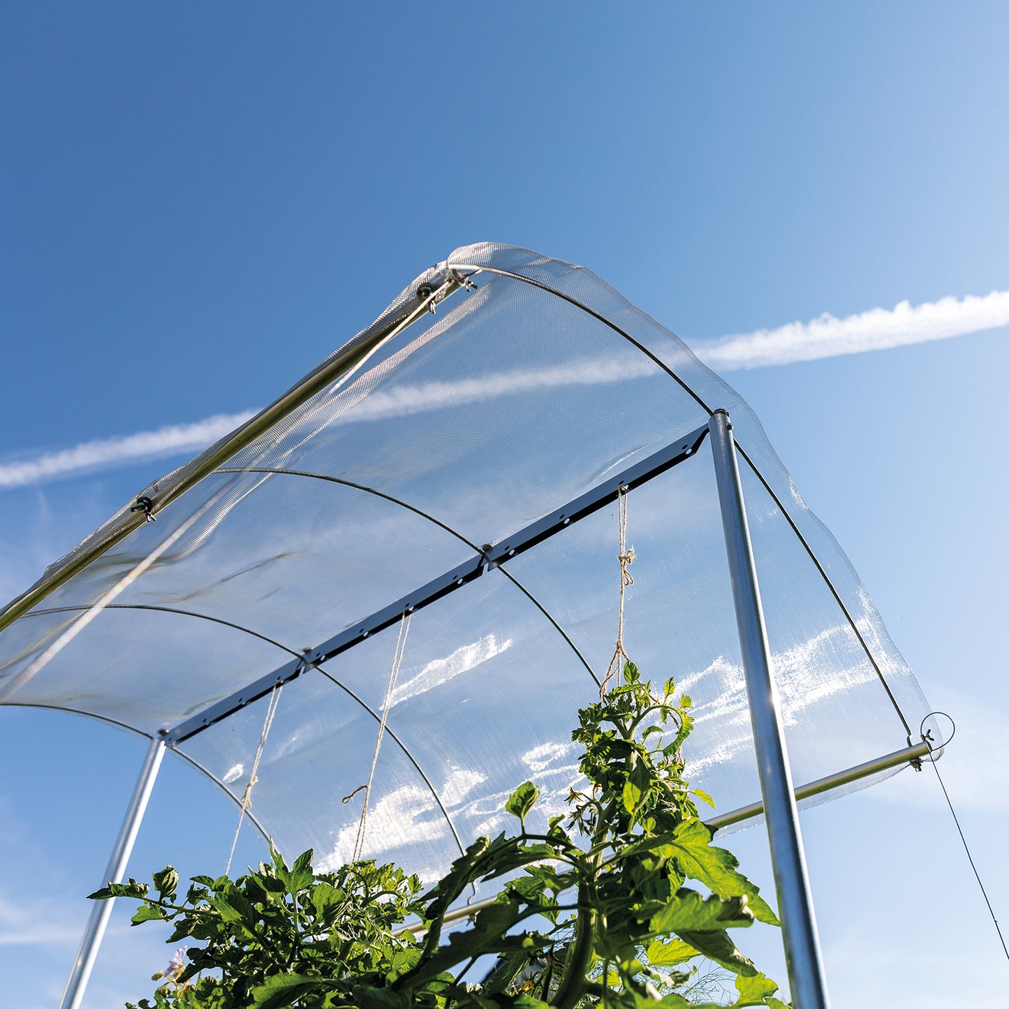 bellissa Tomatendach; L 150 x B 120 x H 125-185 cm, Alu Gewebe + Rohre