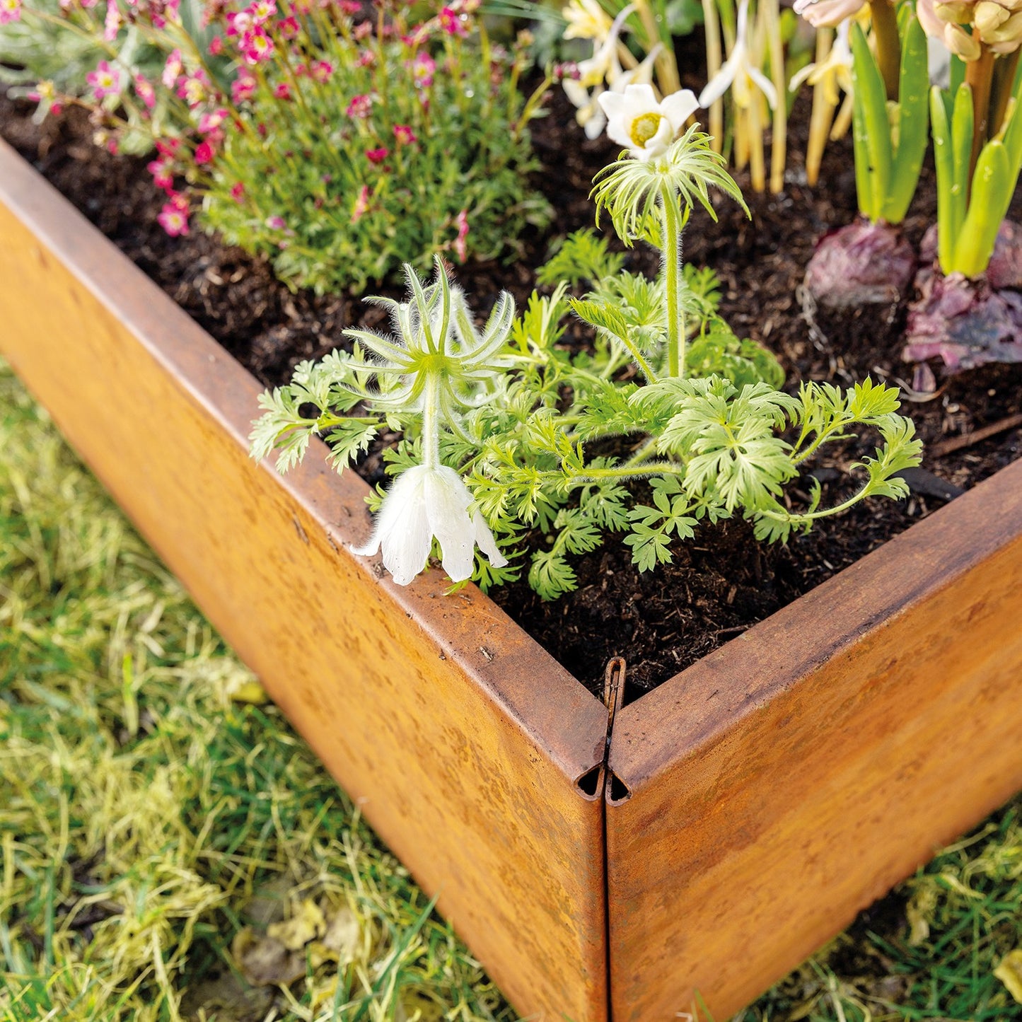 bellissa Vertikalbeet Rahmen S; L 55 x B 55 x H 20 cm, 1.5 mm Corten - ID: 70408847065462