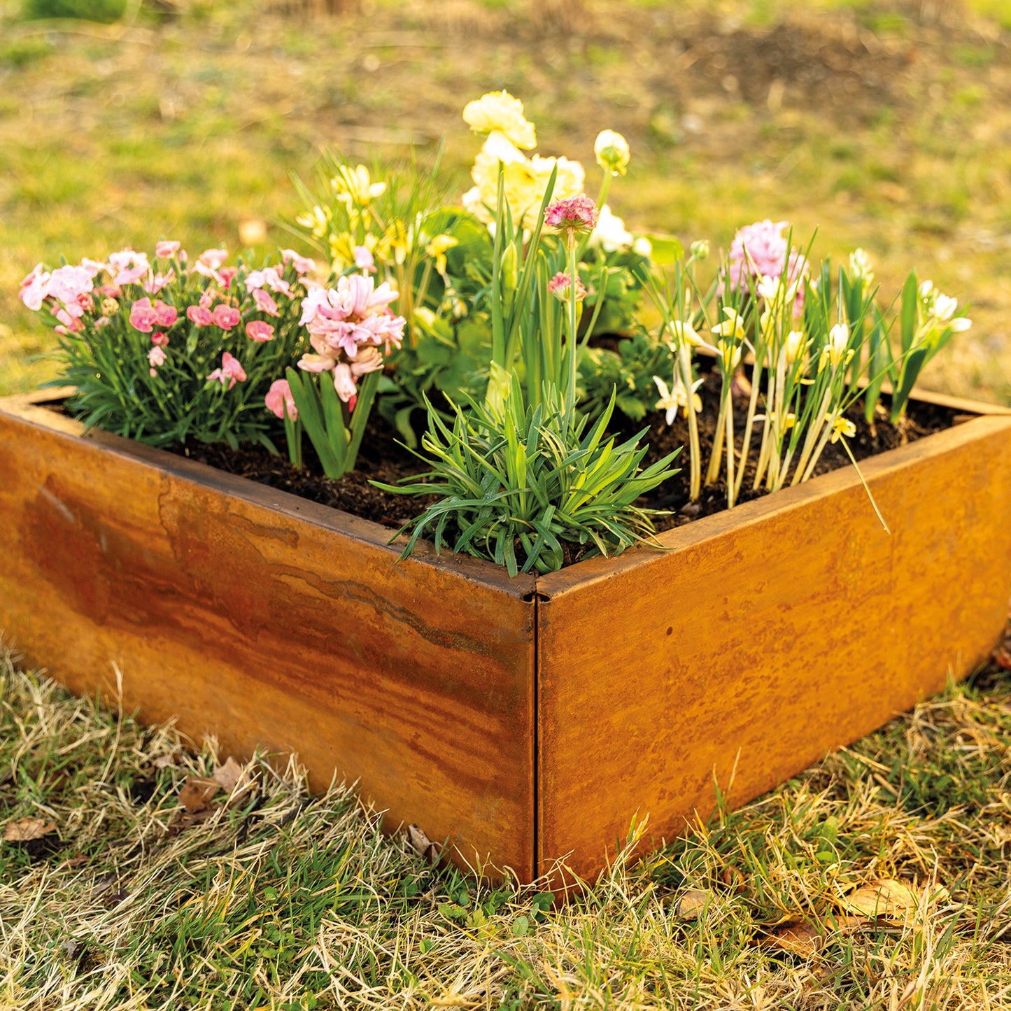 bellissa Vertikalbeet Rahmen L; L 100 x B 100 x H 30 cm, 1.5 mm Corten