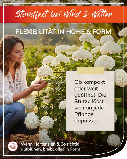 Annabelle Hortensienstütze 65 – Rasenkante 24