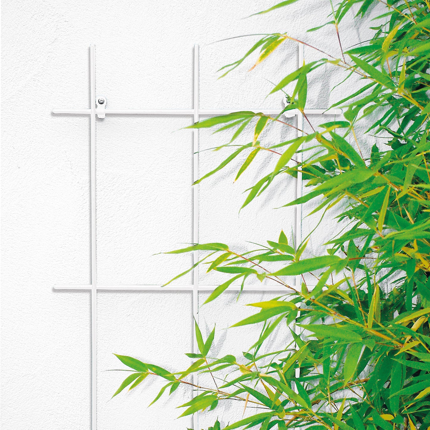 bellissa Extra starkes Spalier 3-strebig S 150 W