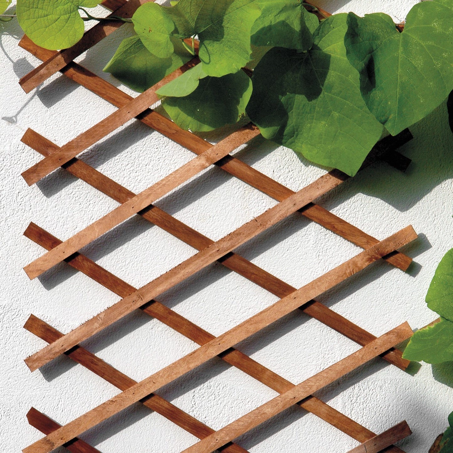 bellissa Holz-Scherenspalier braun 270 cm x 45 cm - ID: 70408857256310