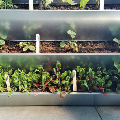 bellissa INALTO M4 vertikales Hochbeet einseitig bepflanzbar 100x32x100 cm