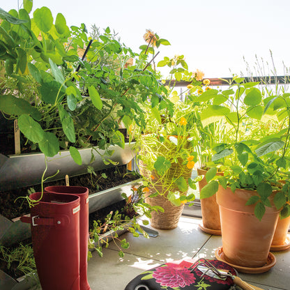 bellissa INALTO M4 vertikales Hochbeet einseitig bepflanzbar 100x32x100 cm