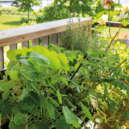 bellissa INALTO M4 vertikales Hochbeet einseitig bepflanzbar 100x32x100 cm