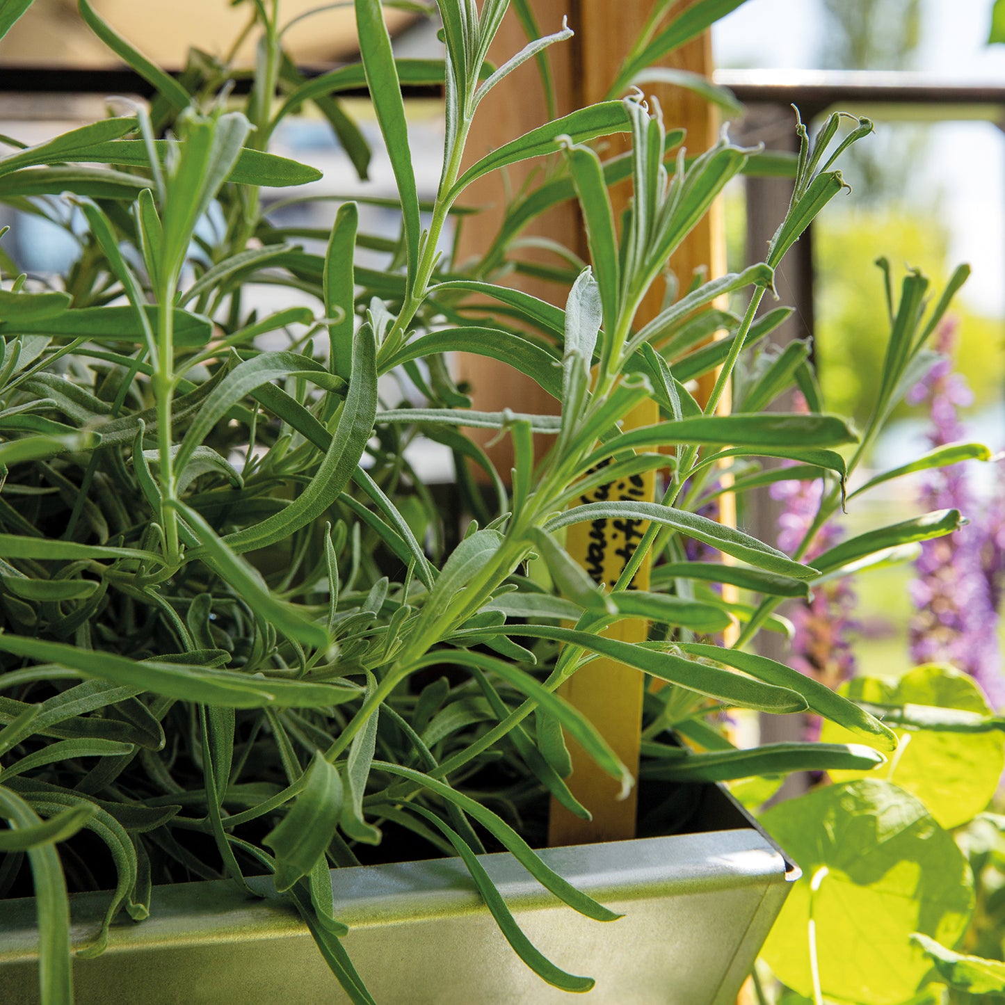 bellissa INALTO M4 vertikales Hochbeet einseitig bepflanzbar 100x32x100 cm