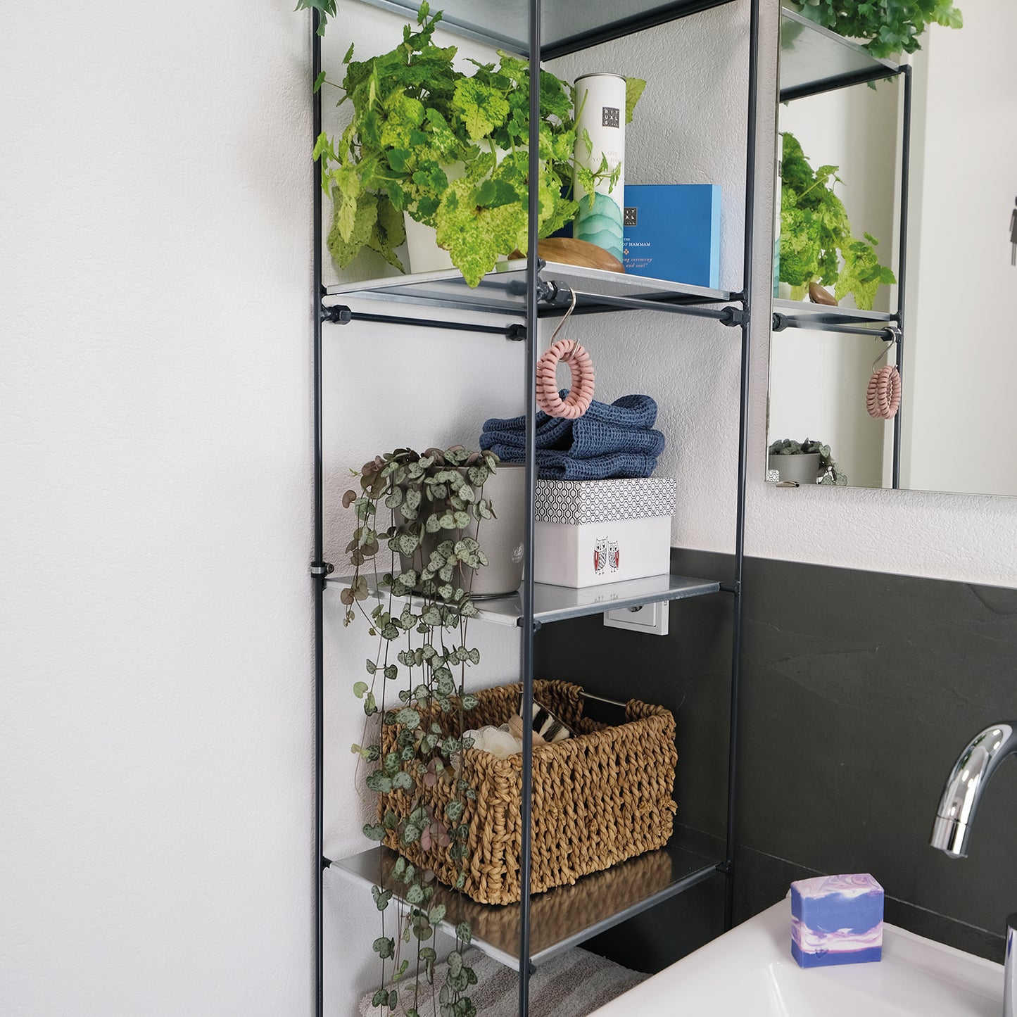 bellissa Vertikales Pflanzregal FILO 1 x 6 30 cm x 31 cm x 175 cm (L x B x H)