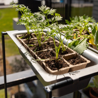 bellissa Vertikales Pflanzregal FILO 1 x 6 30 cm x 31 cm x 175 cm (L x B x H)