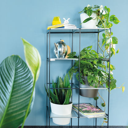 bellissa Vertikales Pflanzregal FILO 2 x 4