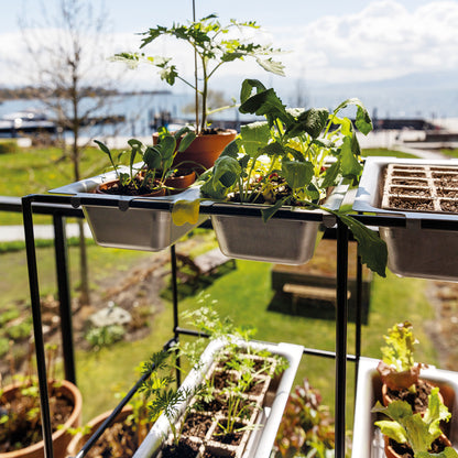 bellissa Vertikales Pflanzregal FILO 2 x 4