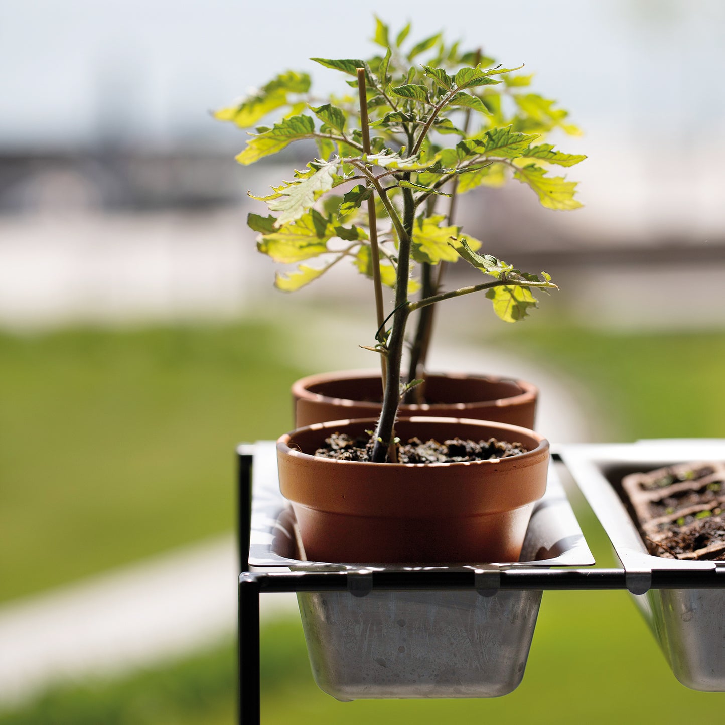 bellissa Vertikales Pflanzregal FILO 2 x 4