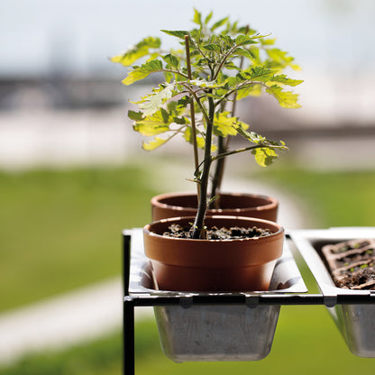 bellissa Vertikales Pflanzregal FILO 2 x 4