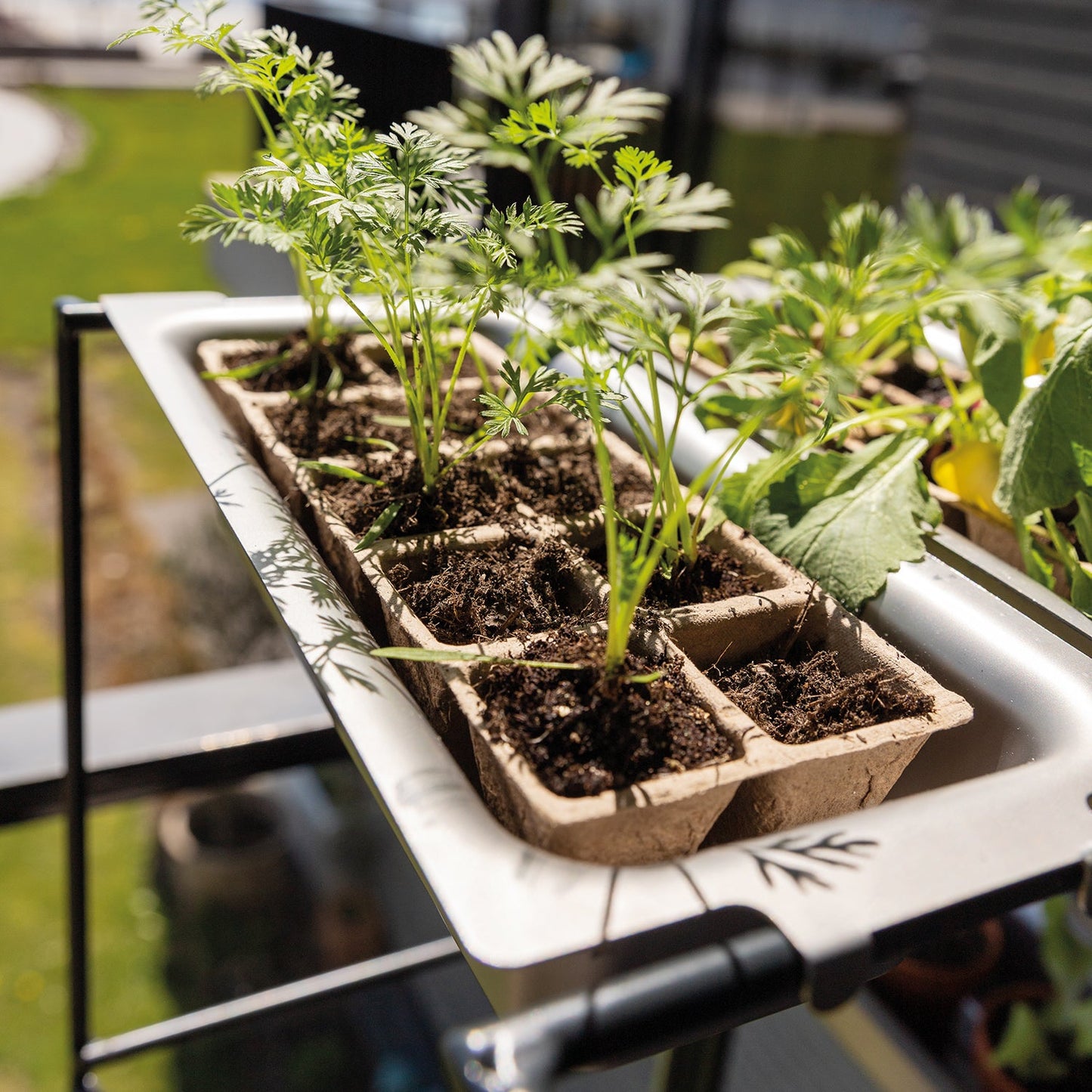 bellissa FILO Hängegarten Anzuchtwanne (2er Set)