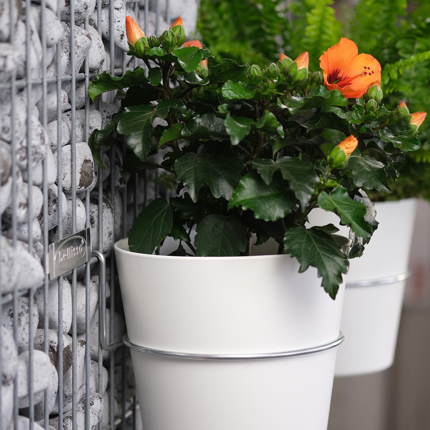Wandgarten FERMO Einhänger Set Ø 120 mm (3 Stück) - ID: 70409230123382