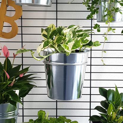Wandgarten FERMO Einhänger Set Ø 170 mm (3 Stück) - ID: 70409106129270