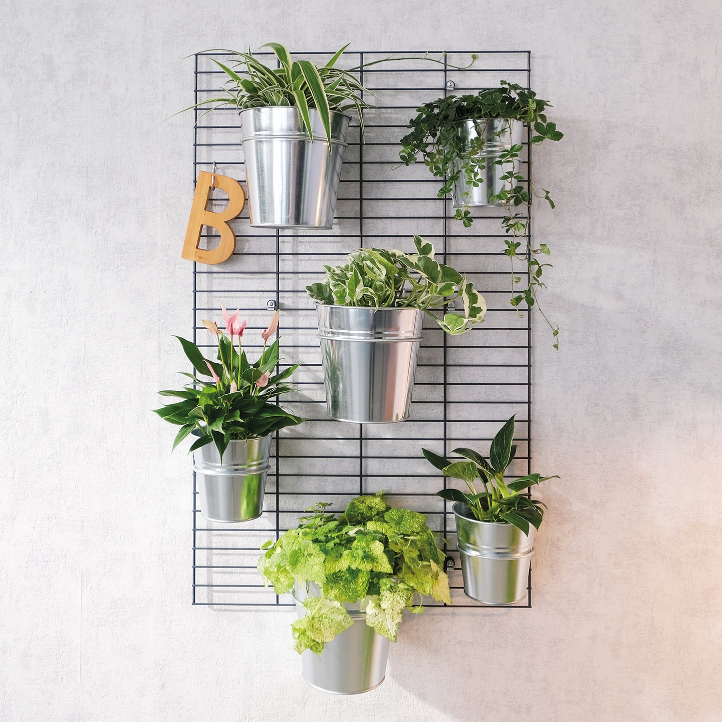 Wandgarten FERMO Gitter & Befestigungs Set