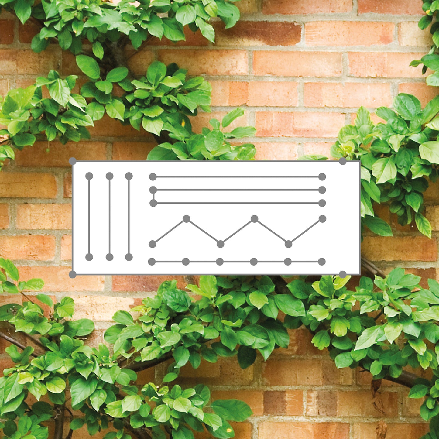 Rankhilfe SPAGO Seilspanntechnik Set