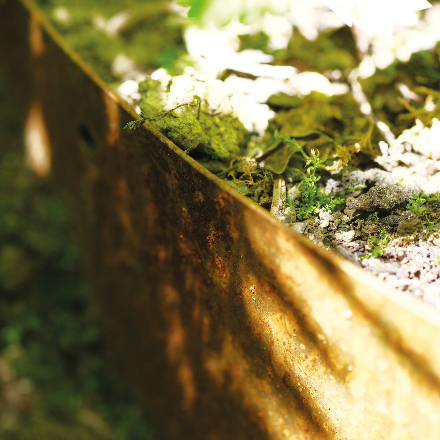 bellissa Hangpflanzschale Collina Corten - ID: 67862307504502